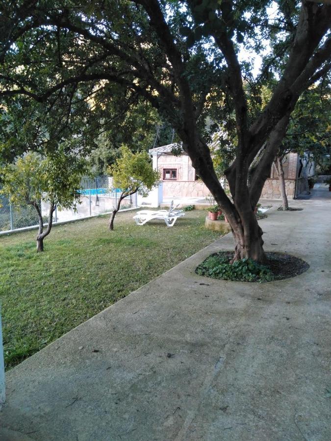 La Fuente De El Nacimiento Guest House Benamahoma Exterior foto