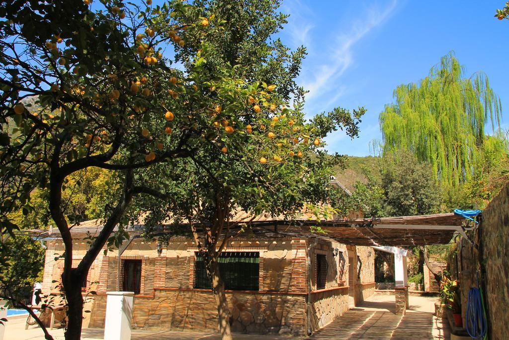 La Fuente De El Nacimiento Guest House Benamahoma Exterior foto